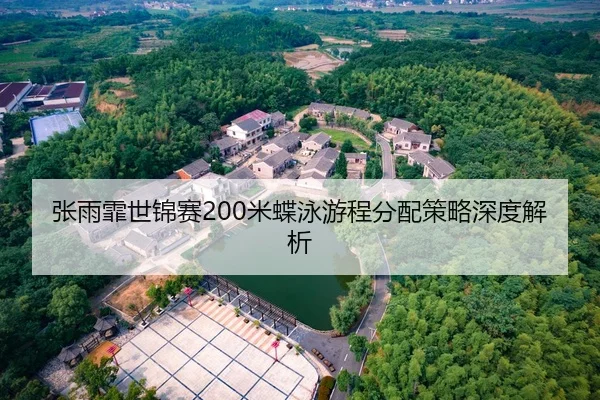 张雨霏世锦赛200米蝶泳游程分配策略深度解析