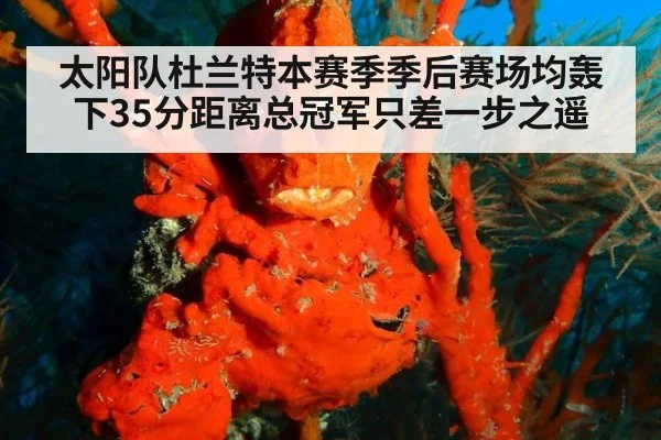 太阳队杜兰特本赛季季后赛场均轰下35分距离总冠军只差一步之遥